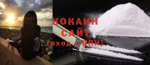 прущие грибы Осинники