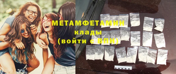 прущие грибы Осинники