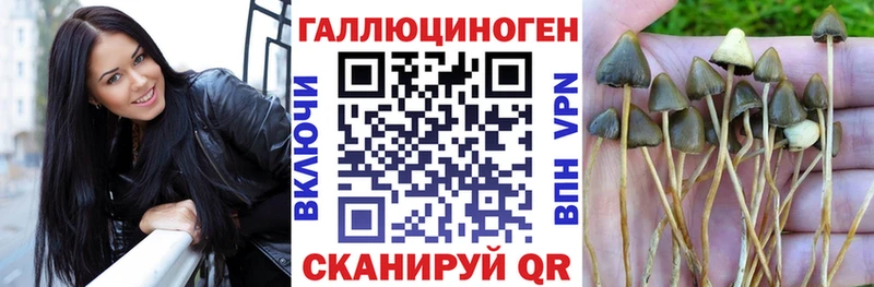 Галлюциногенные грибы ЛСД  где купить   Кириллов 